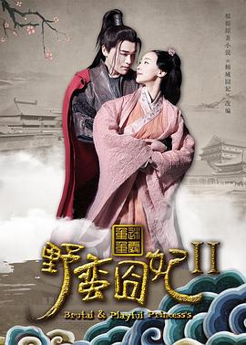 野蠻囧妃2:迷霧重重