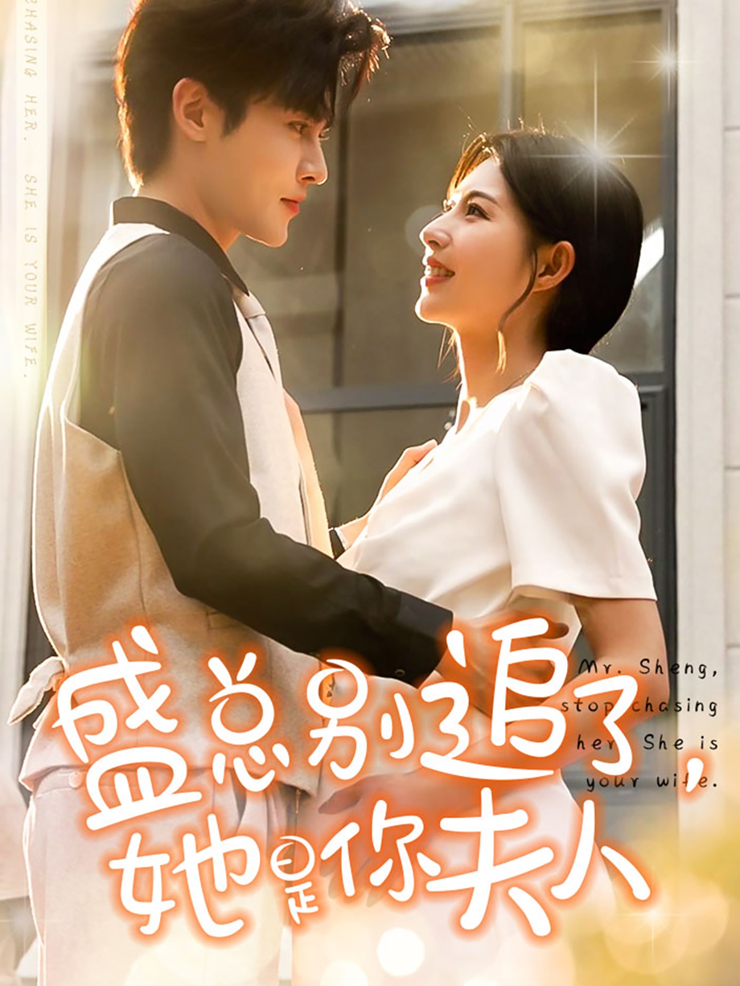 盛總別追了，她是你夫人(全集)