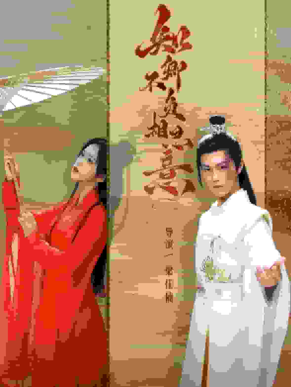 知卿不負(fù)相思意(全集)