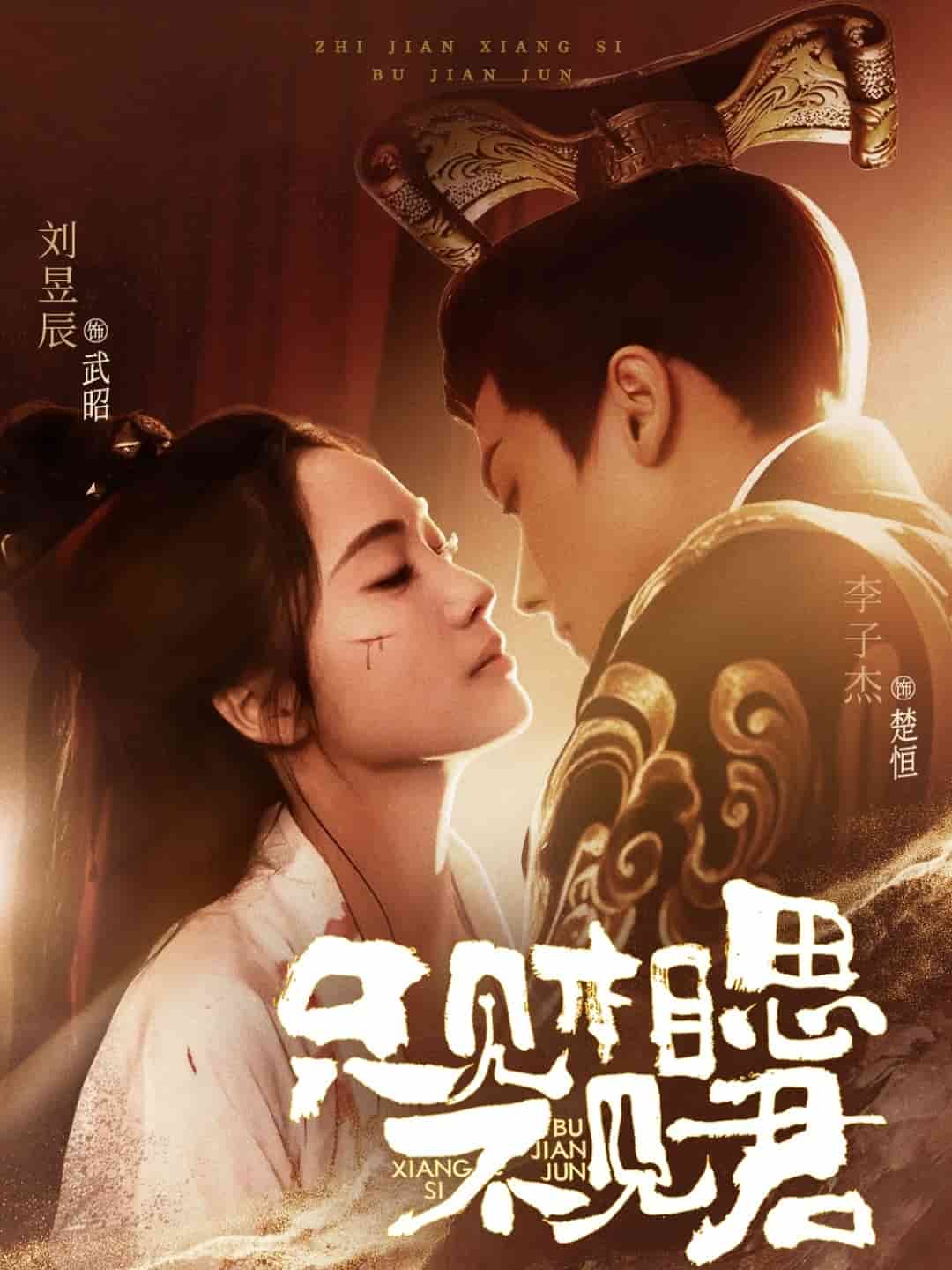 只見相思不見君(全集)