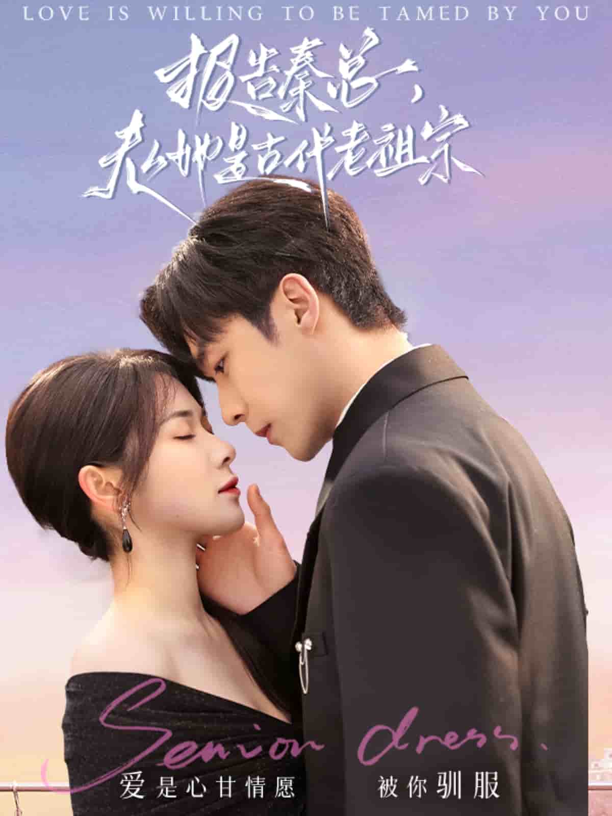 報告秦總，夫人她是古代老祖宗(全集)