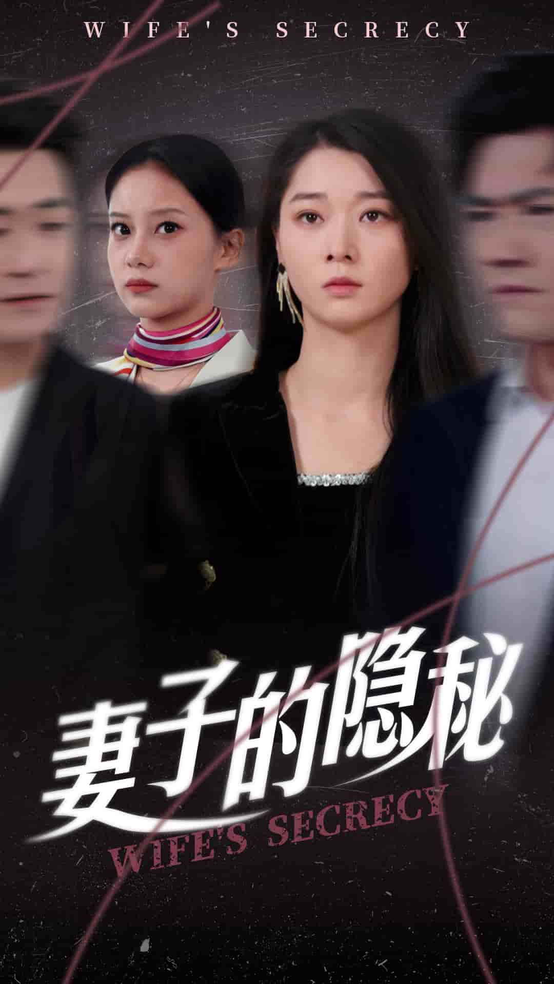 妻子的隱秘(全集)