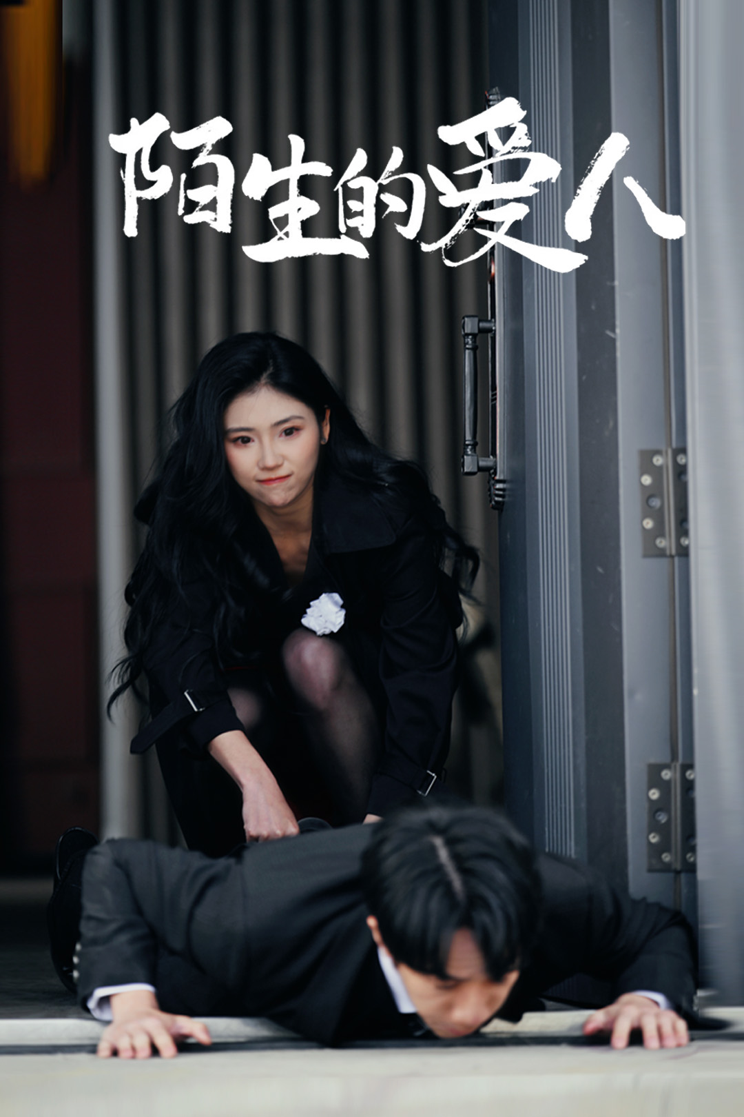 陌生的愛(ài)人(全集)