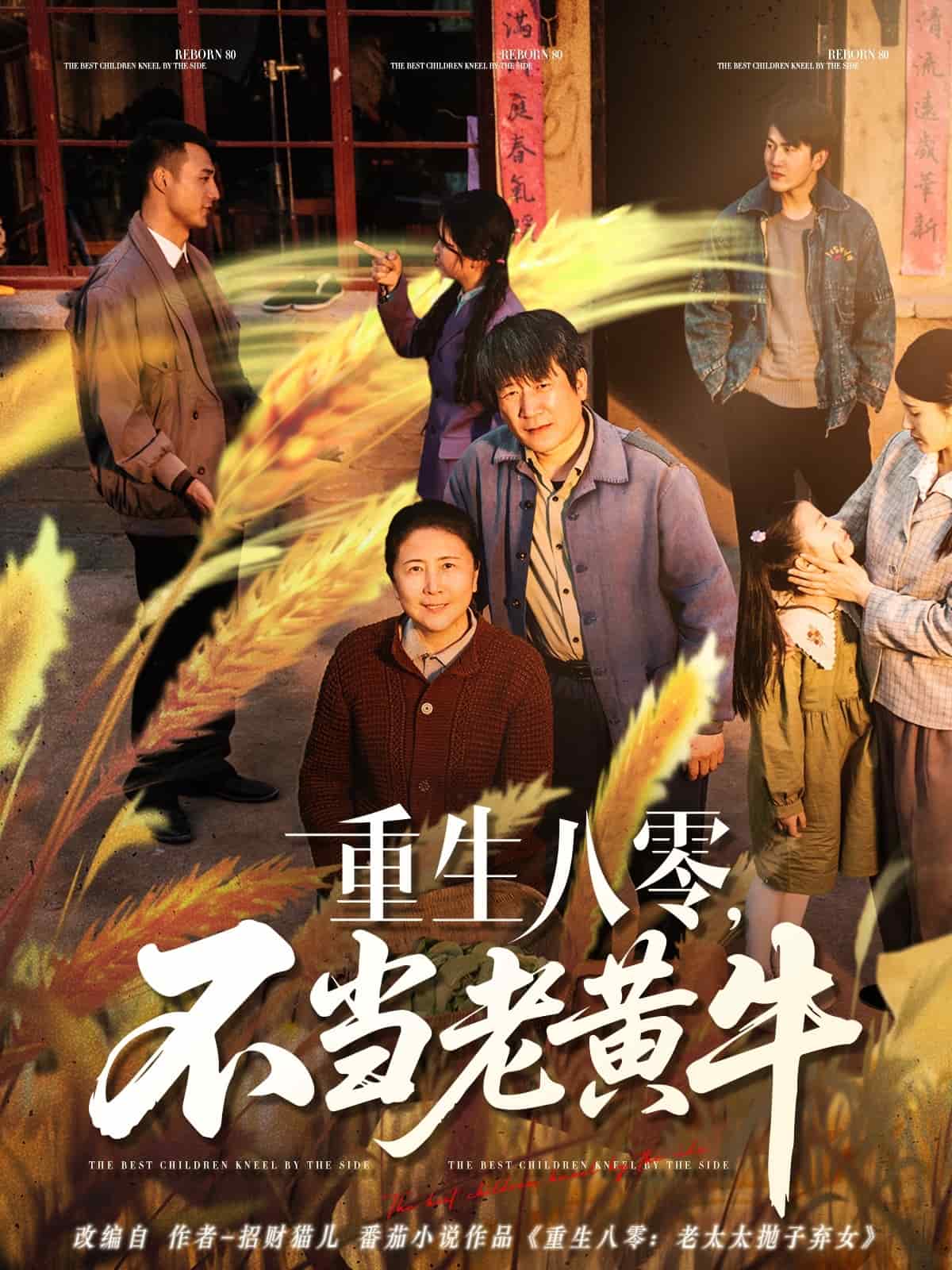 重生八零，不當(dāng)老黃牛(全集)