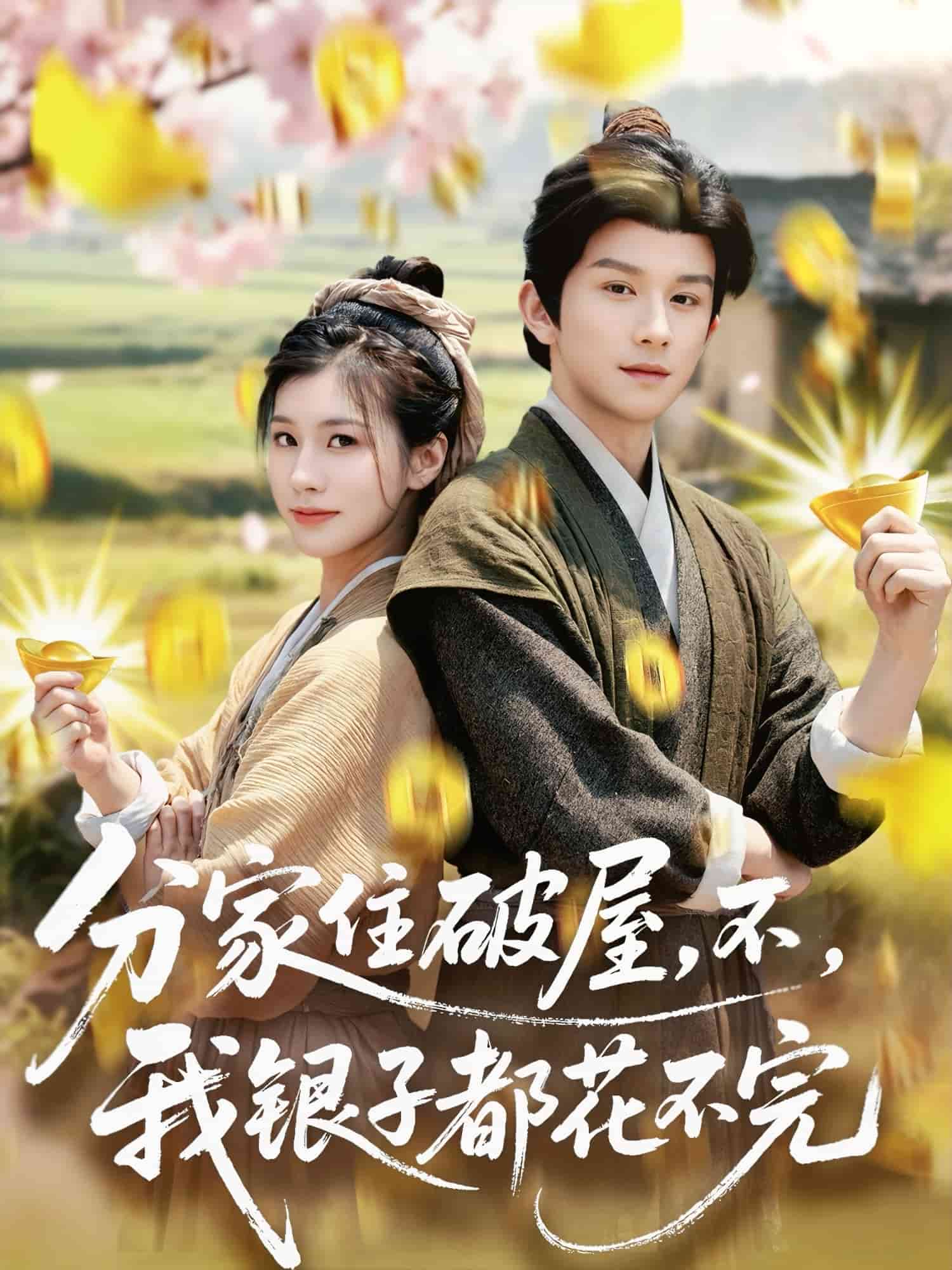 分家住破屋，不，我銀子都花不完(全集)