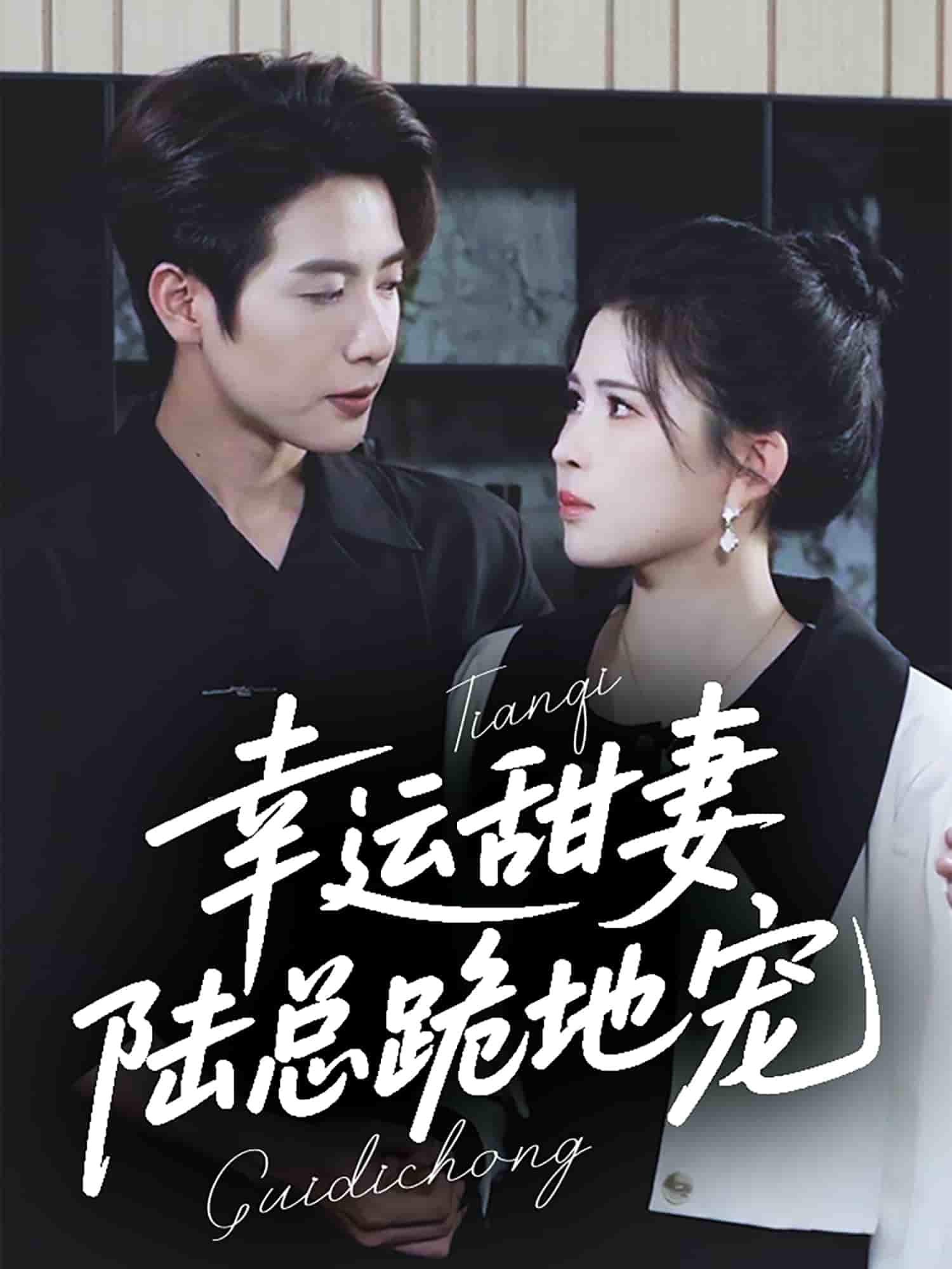 幸運(yùn)甜妻，陸總跪地寵(全集)