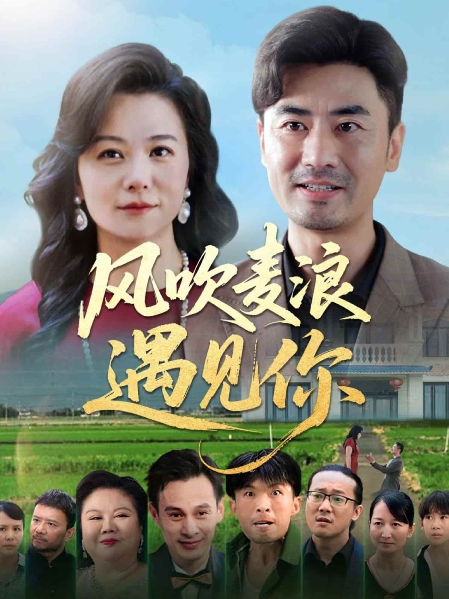 風吹麥浪遇見你(全集)