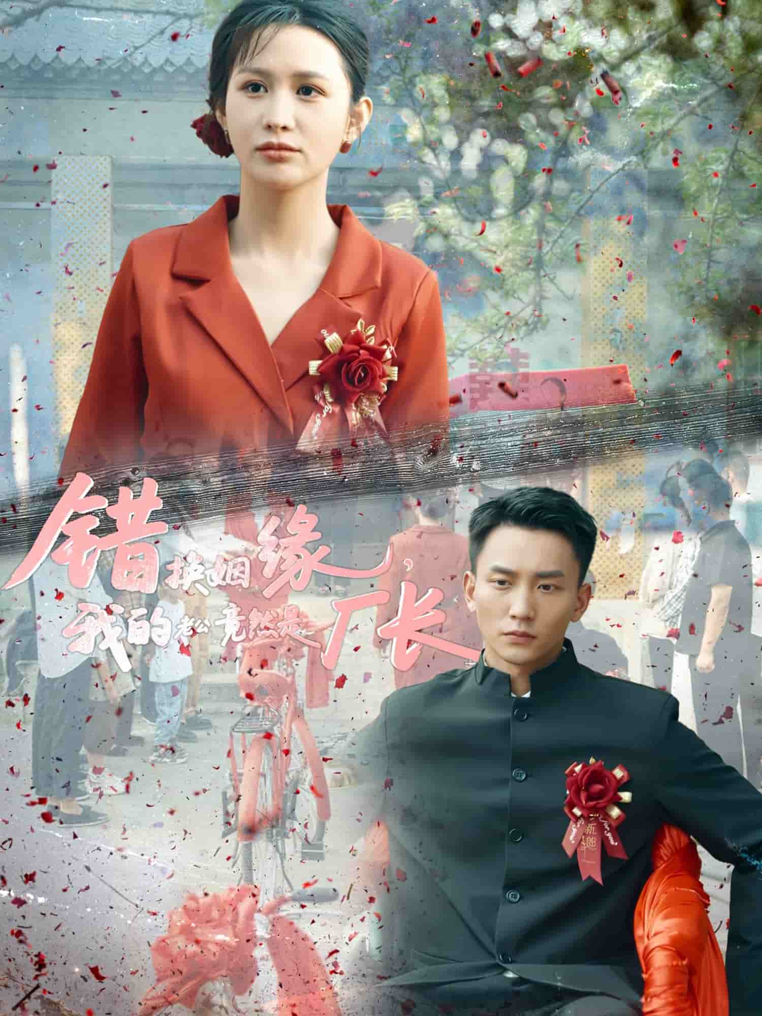 錯(cuò)換姻緣，我的老公竟然是廠長(全集)