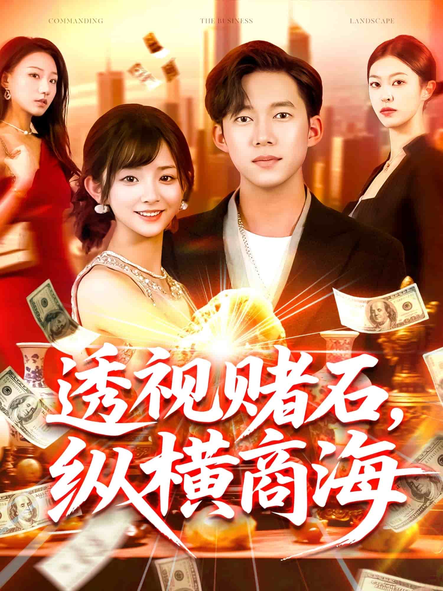 透視賭石，縱橫商海(全集)