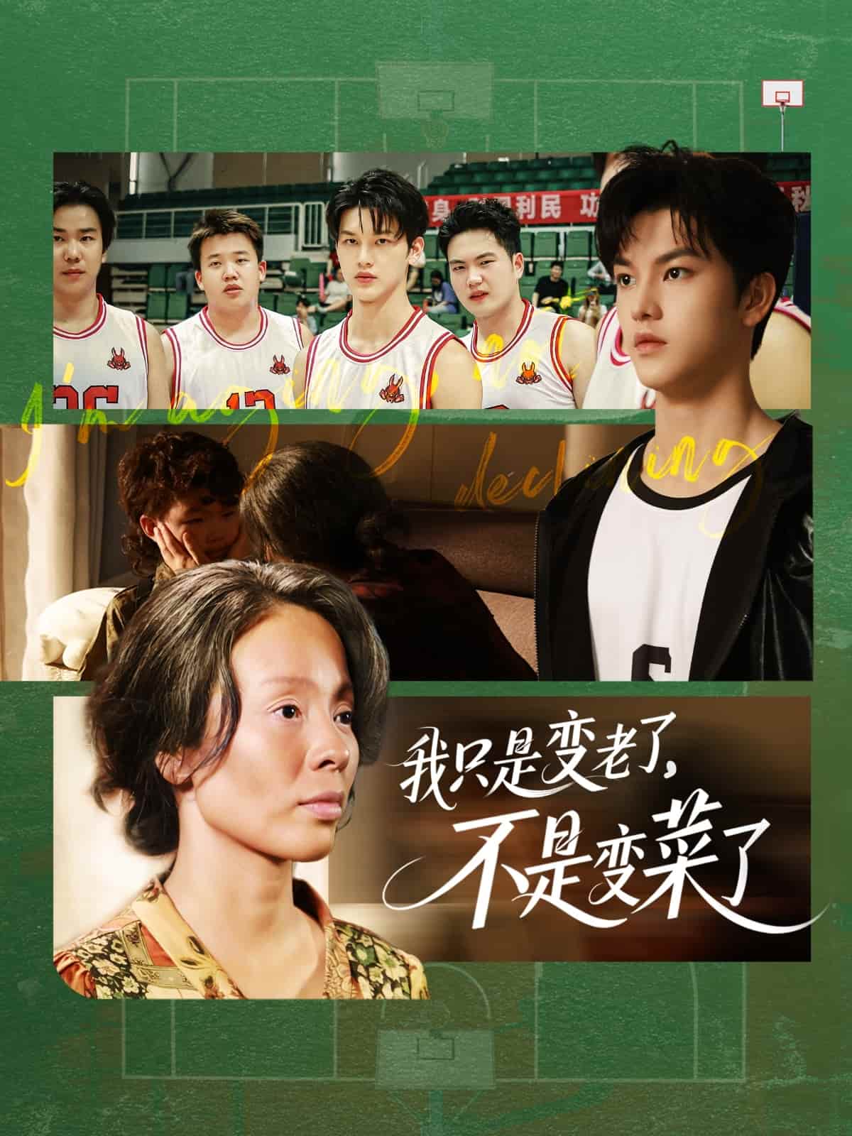 我只是變老了，不是變菜了(全集)