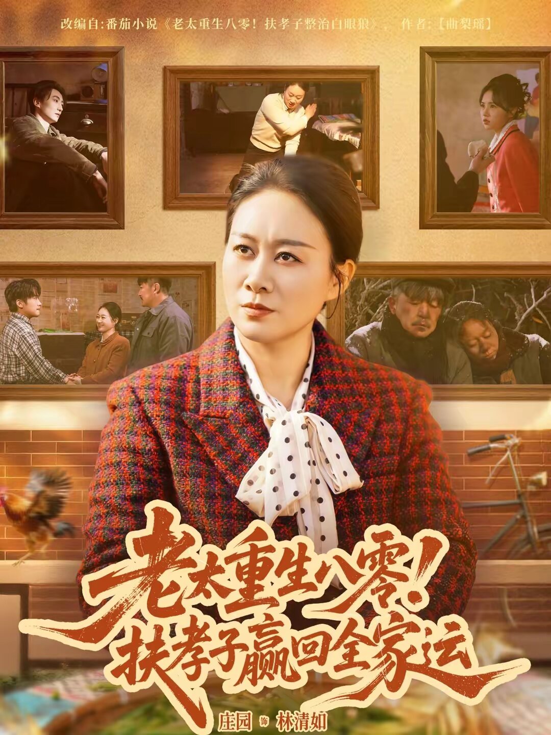 老太重生八零！扶孝子贏回全家運(全集)