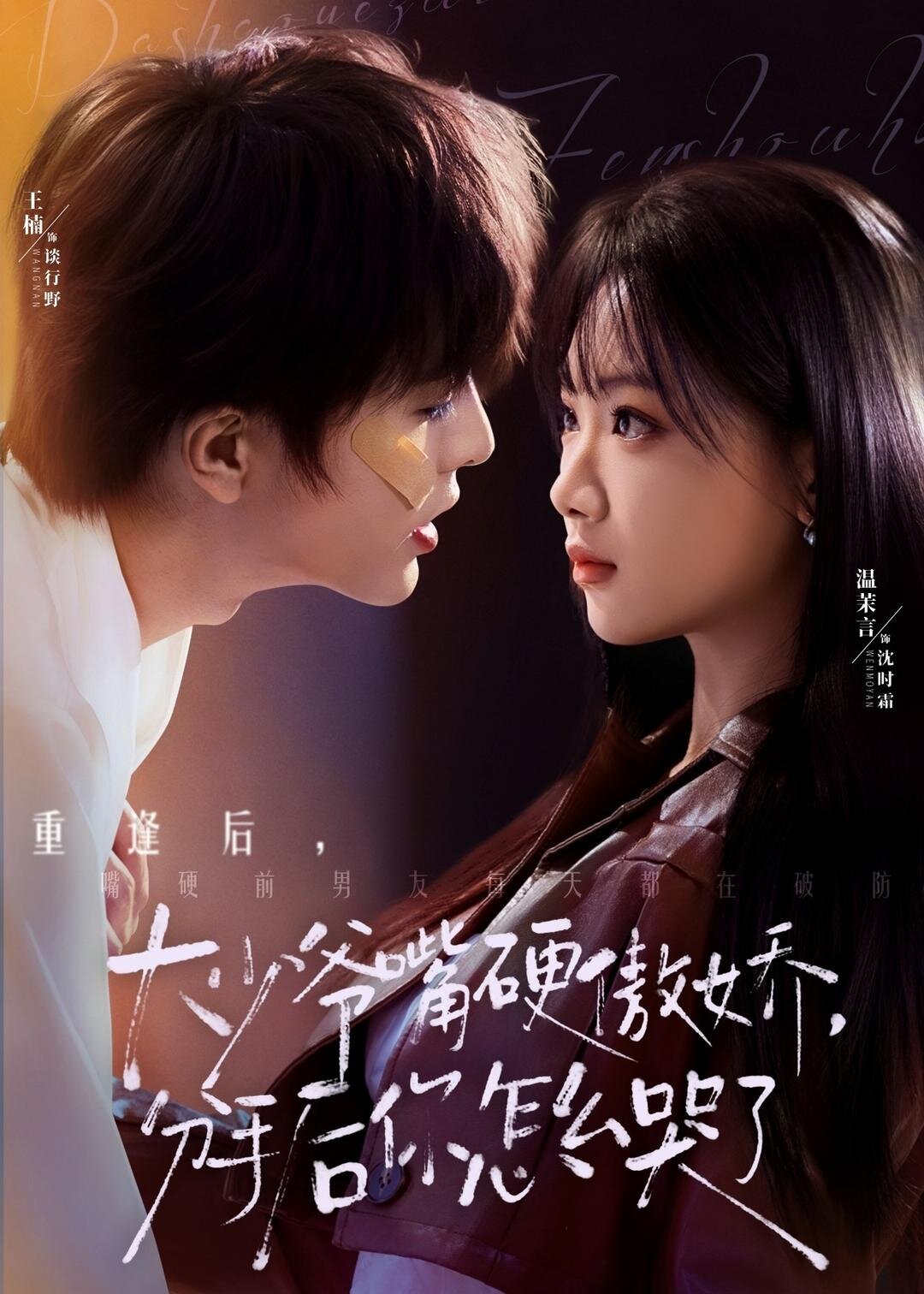 大少爺嘴硬傲嬌，分手后你怎么哭了(全集)