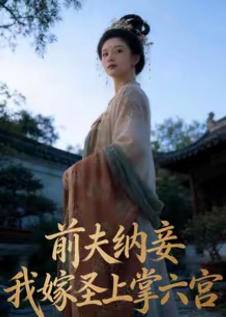 前夫納妾，我嫁圣上掌六宮(全集)