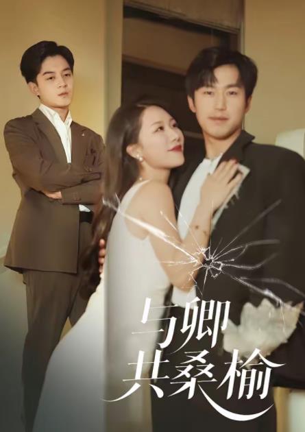 與卿共桑榆(全集)