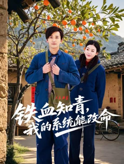 鐵血知青，我的系統(tǒng)能改命(全集)
