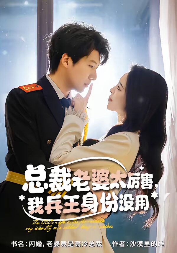 總裁老婆太厲害，我兵王身份沒用(全集)