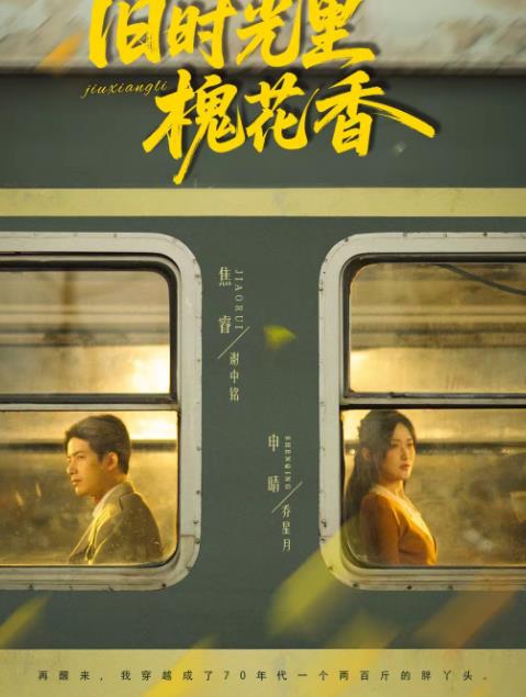 舊時(shí)光里槐花香(全集)