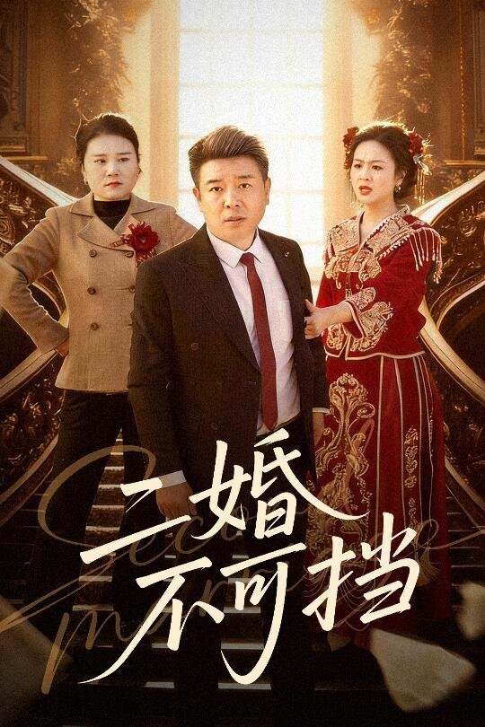 二婚不可擋(全集)