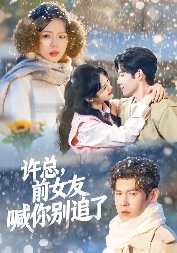 許總，前女友喊你別追了(全集)