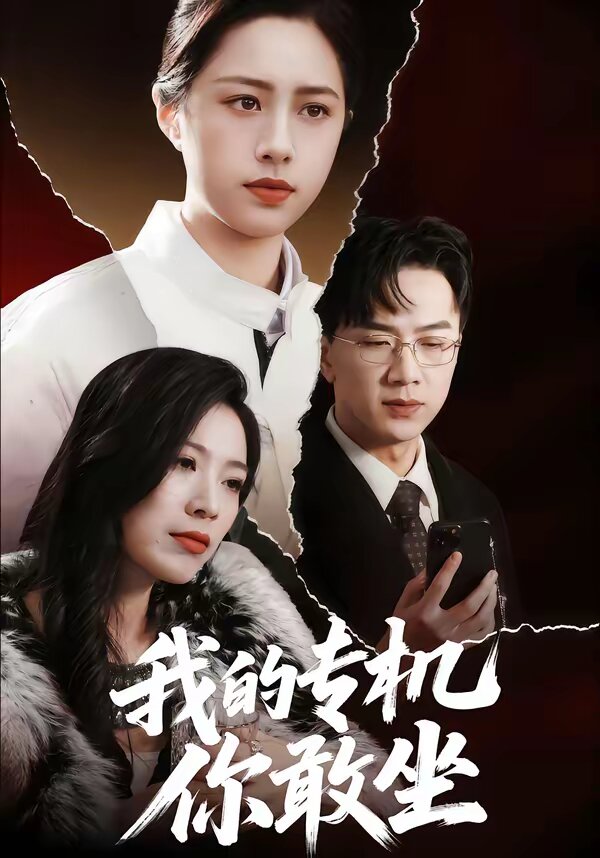 我的專機(jī)你敢坐(全集)