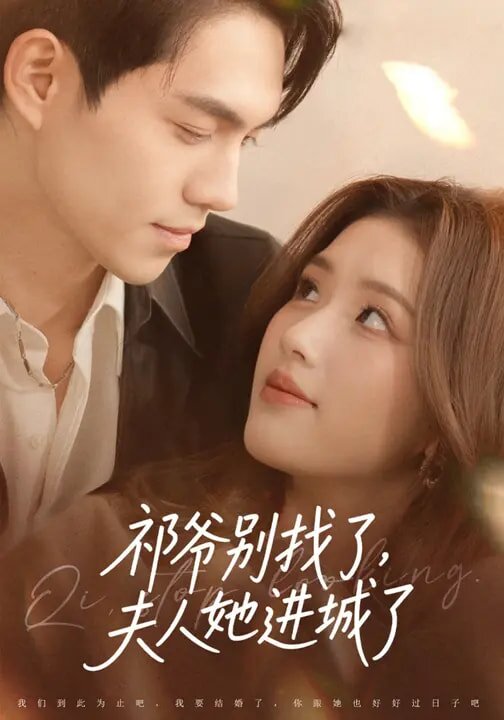 祁爺別找了，夫人她進城了(全集)