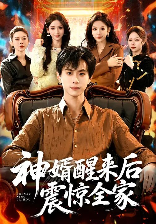 神婿醒來(lái)后震驚全家(全集)