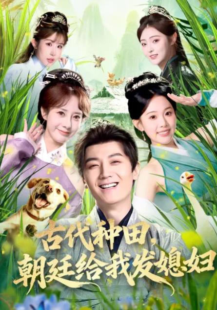 古代種田，朝廷給我發(fā)媳婦(全集)