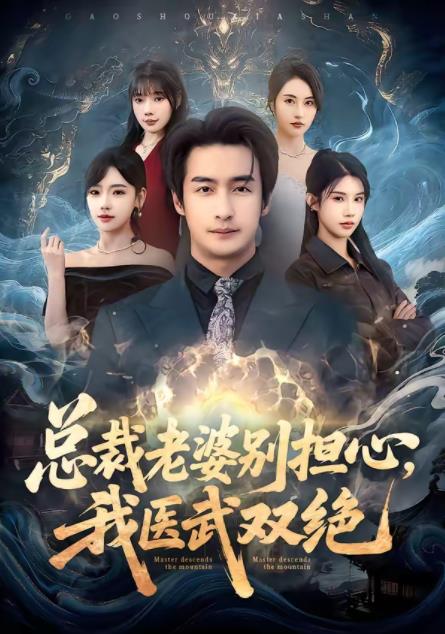 總裁老婆別擔(dān)心，我醫(yī)武雙絕(全集)