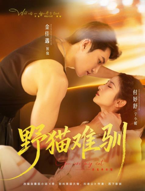 野貓難馴(全集)