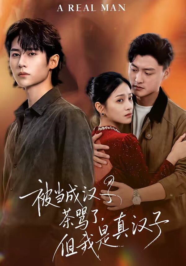 被當(dāng)成漢子茶罵了，但我是真漢子(全集)
