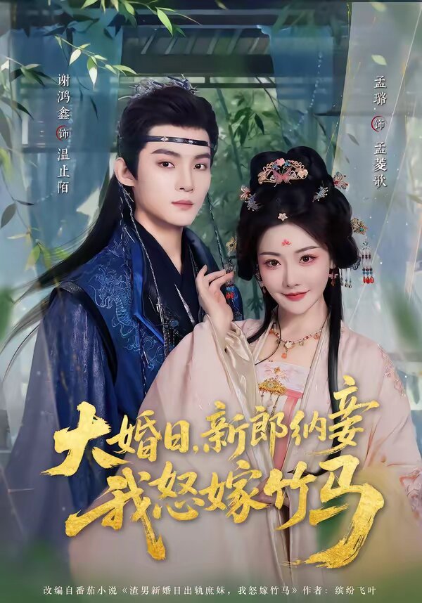 大婚日，新郎納妾我怒嫁竹馬(全集)