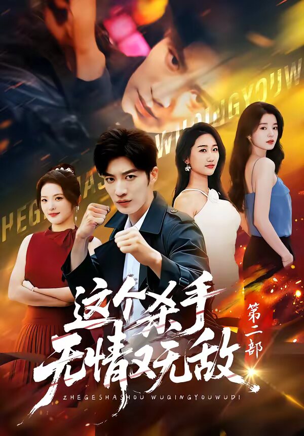 這個(gè)殺手無(wú)情又無(wú)敵第二部(全集)