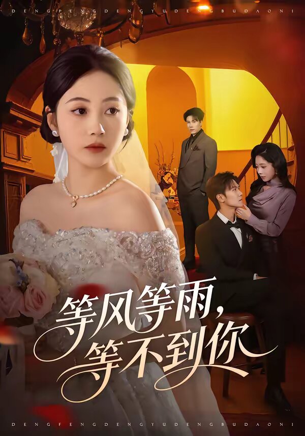 等風(fēng)等雨，等不到你(全集)
