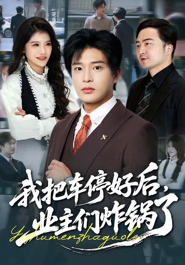 我把車停好后，業(yè)主們炸鍋了(全集)