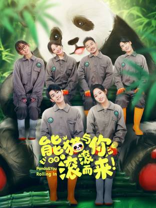 熊貓與你，滾滾而來！(全集)